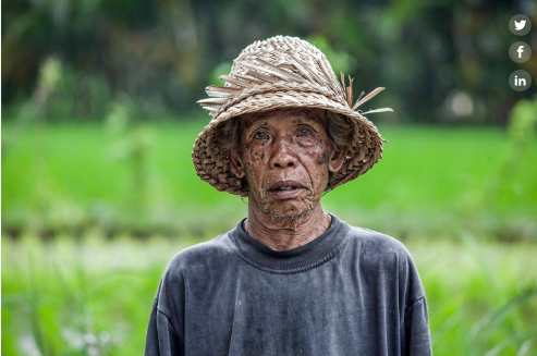 Ilustrasi Petani